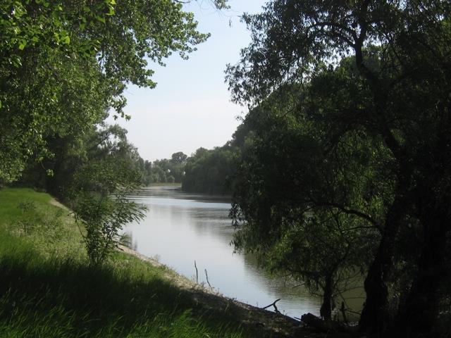 Prin Delta Dunarii - Picture 010.jpg